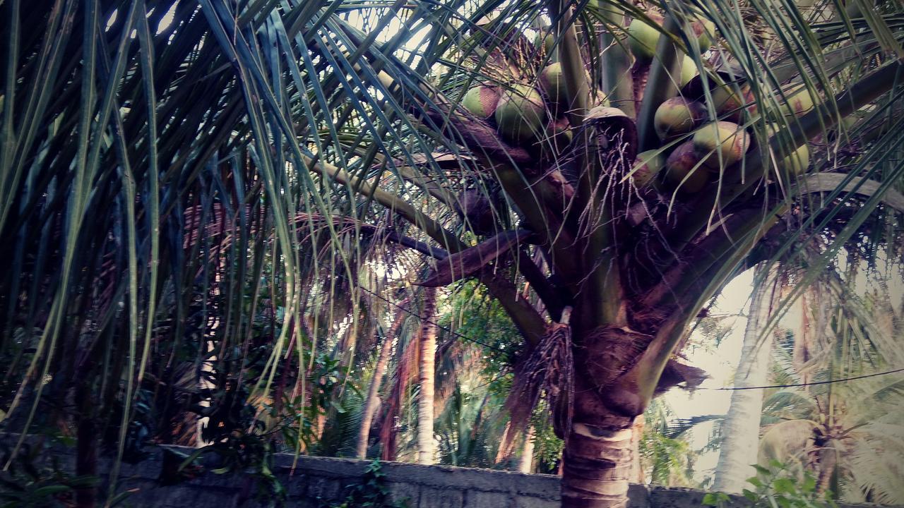 Sampathaa Residence Negombo Kültér fotó