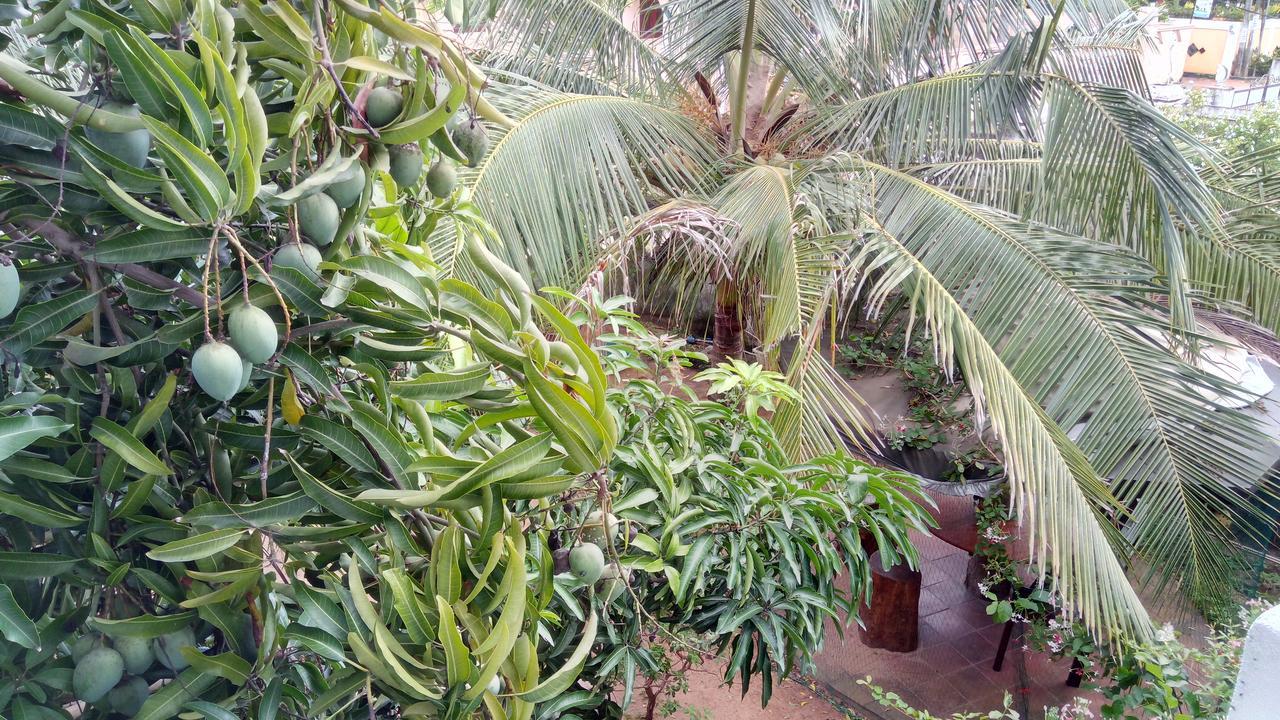 Sampathaa Residence Negombo Kültér fotó