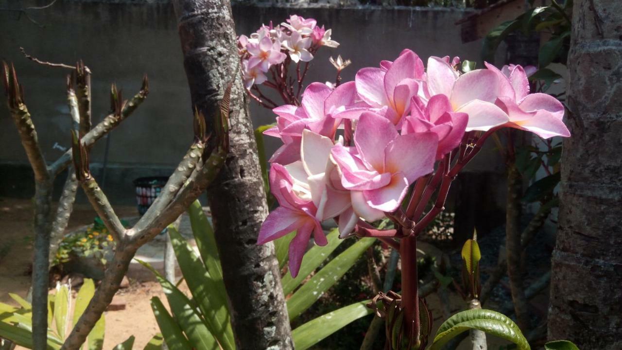 Sampathaa Residence Negombo Szoba fotó