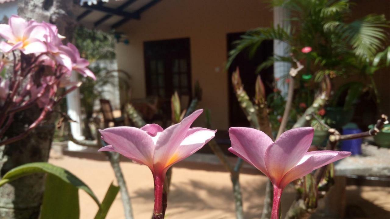 Sampathaa Residence Negombo Szoba fotó